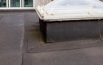 disadvantages of Chilthorne Domer flat roofs