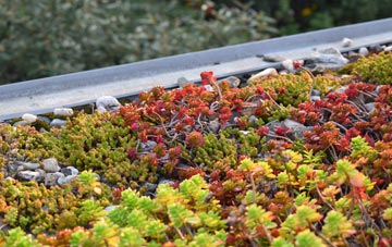 the cost of Chilthorne Domer green roof installation