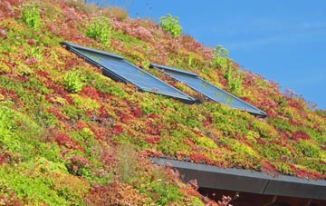 Chilthorne Domer living roof systems