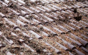 Chilthorne Domer roof cleaning companies