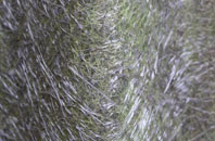 Chilthorne Domer fibreglass roof work